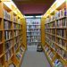 library - National Insight News