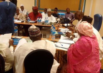 Constitution review commitee