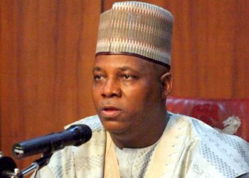 Borno state Governor Shettima