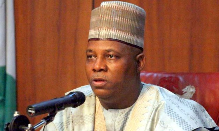 Shetima - National Insight News Borno state Governor Shettima