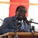 Zimbabwean President Robert Mugabe speaks at a rally in Harare on July 27, 2016.