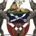 osun-state-logo-343x187 - National Insight News Osun state Logo