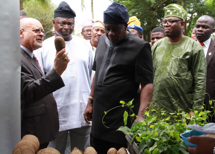 IMG_6654-1 - National Insight News