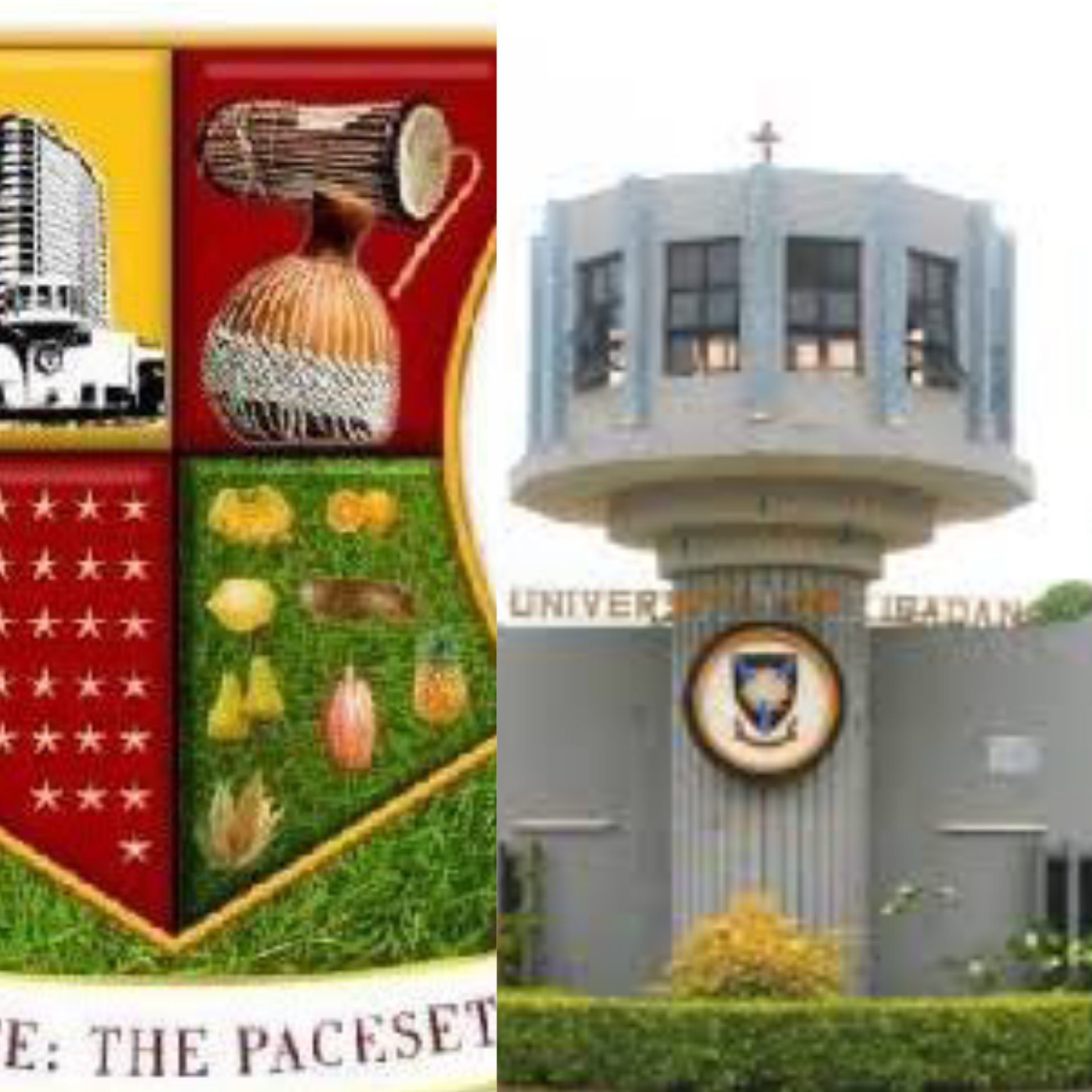 InShot_20200407_193809210 - National Insight News