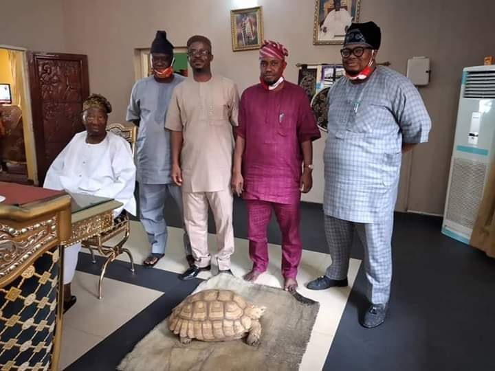 102426585_2841104302653926_5729067196940812288_n - National Insight News Soun's palace get new tortoise