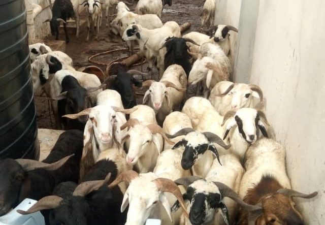 IMG-20200730-WA0008 - National Insight News