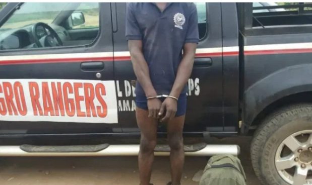 Screenshot_20200829-223519_1598736959139 - National Insight News