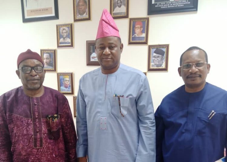 IMG-20201007-WA0020_1602080701255 - National Insight News