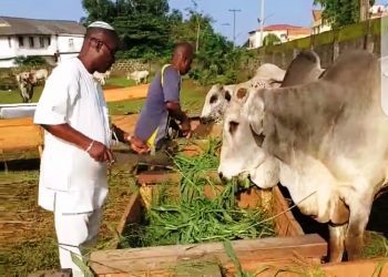 I' m Not Relocating to Anywhere - K1