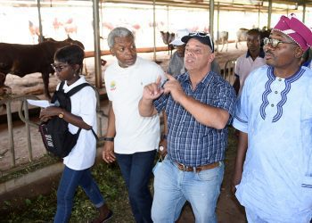 'Fayemi's Programmes, Projects Aimed at Banishing Poverty'