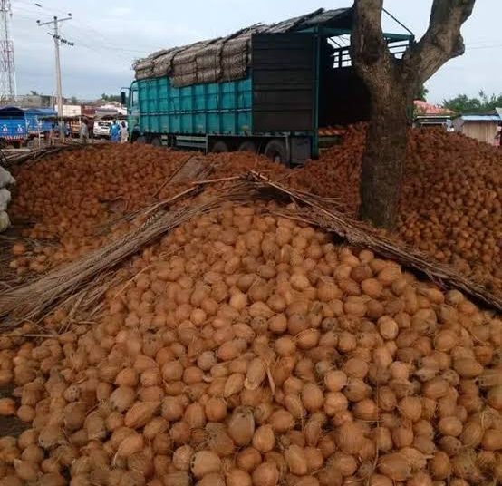 images (86) - National Insight News