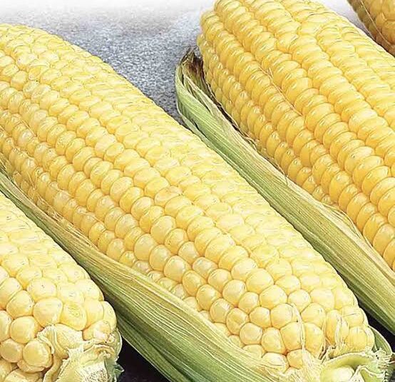 images (6) - National Insight News