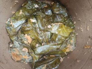 IMG-20210319-WA0064 - National Insight News Ool