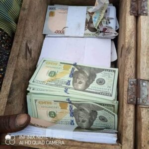 FB_IMG_1619800575093 - National Insight News