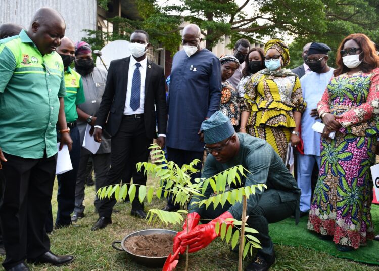 Oyo State Governor, Seyi Makinde, planting a tree, while his deputy, Engr Rauf Olaniyan (second right); Secretary to the State Government, Mrs. Olubamiwo Adeosun (right); Chief of Staff, Chief Bisi Ilaka (middle); Commissioner for Environment, Dr. Idowu Oyeleke (left) and others look on, during the launch of the tree planting campaign in Oyo State, held at the Secretariat premises, Ibadan. PHOTO: Oyo State Government.