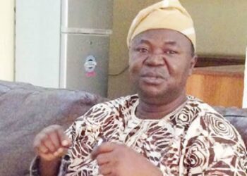 Professor Abiodun Ogunyemi