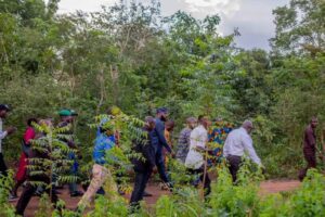 IMG-20210826-WA0006 - National Insight News