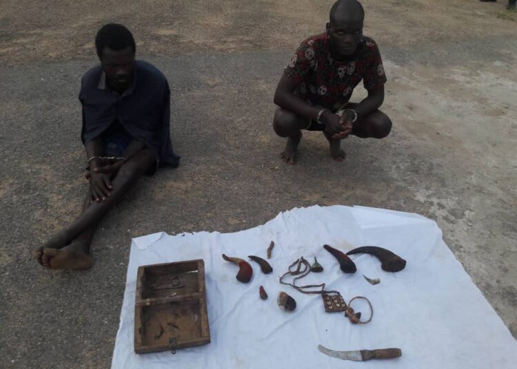 IMG-20211027-WA0029 - National Insight News