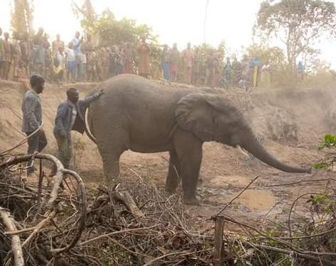 FB_IMG_1643737885209_1 - National Insight News