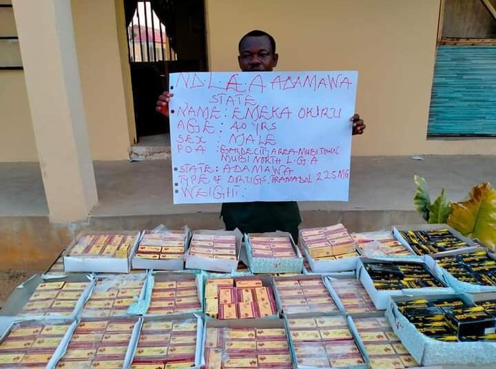 FB_IMG_1649248768446 - National Insight News