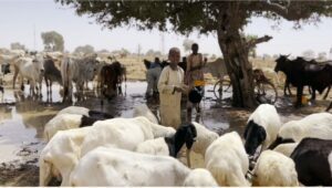 Screenshot_20220725-110155 - National Insight News