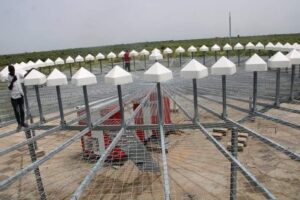 FB_IMG_1665860256014 - National Insight News