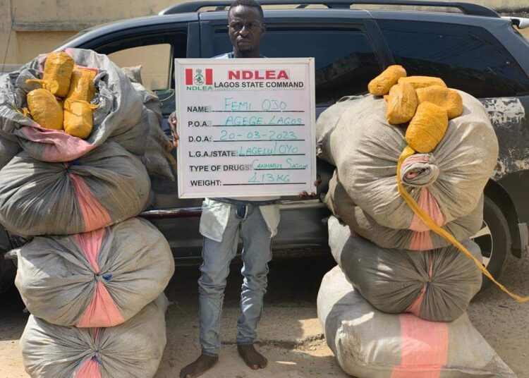 FB_IMG_1679838624524 - National Insight News