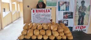 FB_IMG_1682259064012 - National Insight News