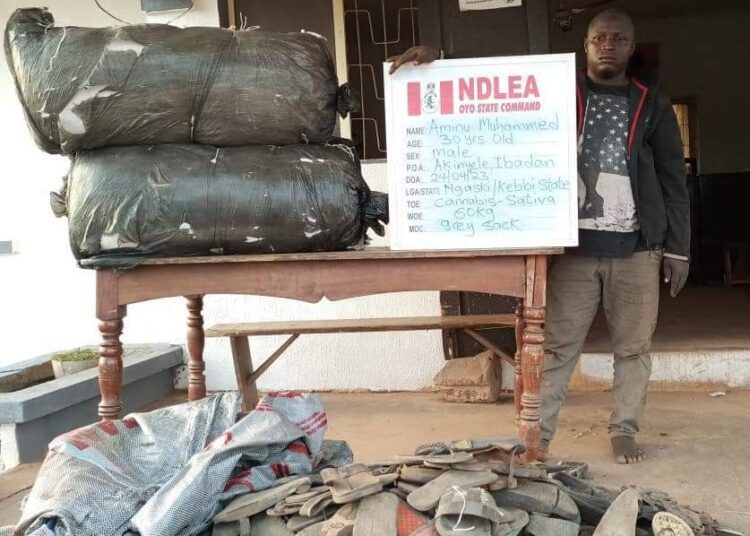 FB_IMG_1682857525158 - National Insight News