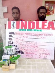 FB_IMG_1685295784145 - National Insight News