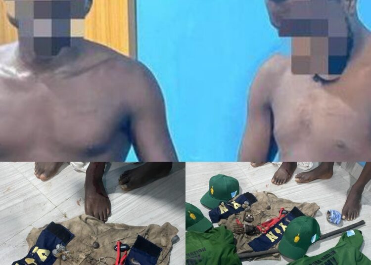 img_1685298691736_1 - National Insight News