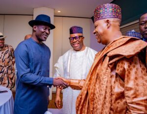 IMG-20230611-WA0187 - National Insight News