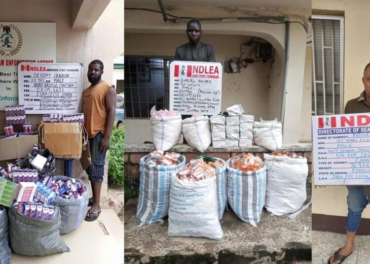 FB_IMG_1694352752056 - National Insight News