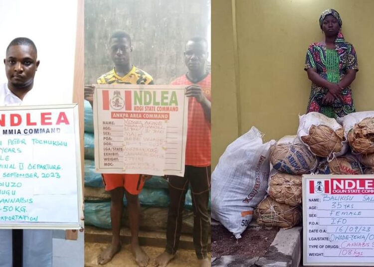 FB_IMG_1694962417559 - National Insight News