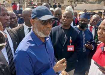 Minister of Solid Minerals, Mr Dele Alake