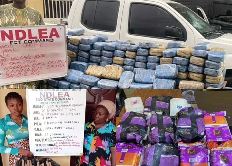 img_1719168091795_1 - National Insight News #image_title