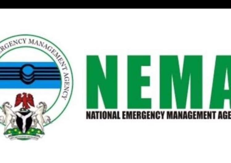 Screenshot_20240717-114313 - National Insight News #image_title