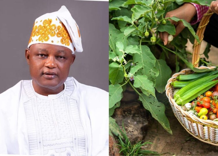 img_1720532004421_1 - National Insight News #image_title