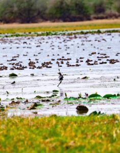 FB_IMG_1724609425300 - National Insight News