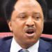 Shehu-Sani - National Insight News Wages