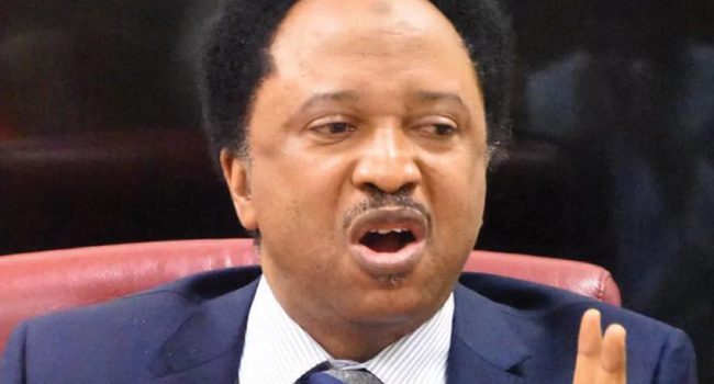 Shehu-Sani - National Insight News Wages