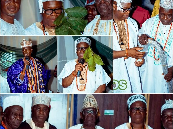 IMG-20241006-WA00251 - National Insight News #image_title