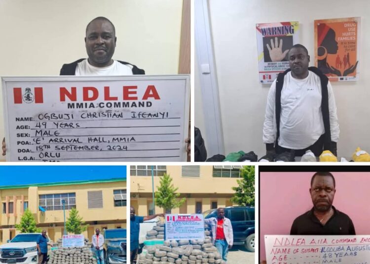 Screenshot_20250307-113540 - National Insight News #image_title