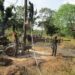 Oyo Govt Sets Borehole Drilling Fee at N14,000 Per Meter - National Insight News Oyo Govt Sets Borehole Drilling Fee at N14,000 Per Meter