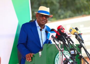 Minister of the Federal Capital Territory (FCT), Nyesom