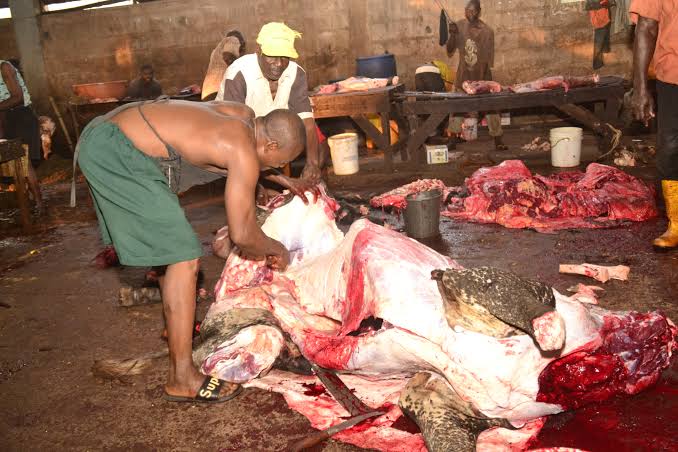 Oyo govt warn butchers