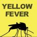 Yellow Fever Claims 8 Lives in Bauchi