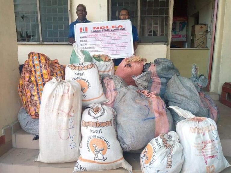 2 Pregnant Women, Barber Arrested for Drug Trafficking at Lagos Airport