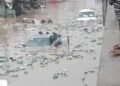 flood - National Insight News flood