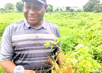 Hon Segun Dokun Odebunmi